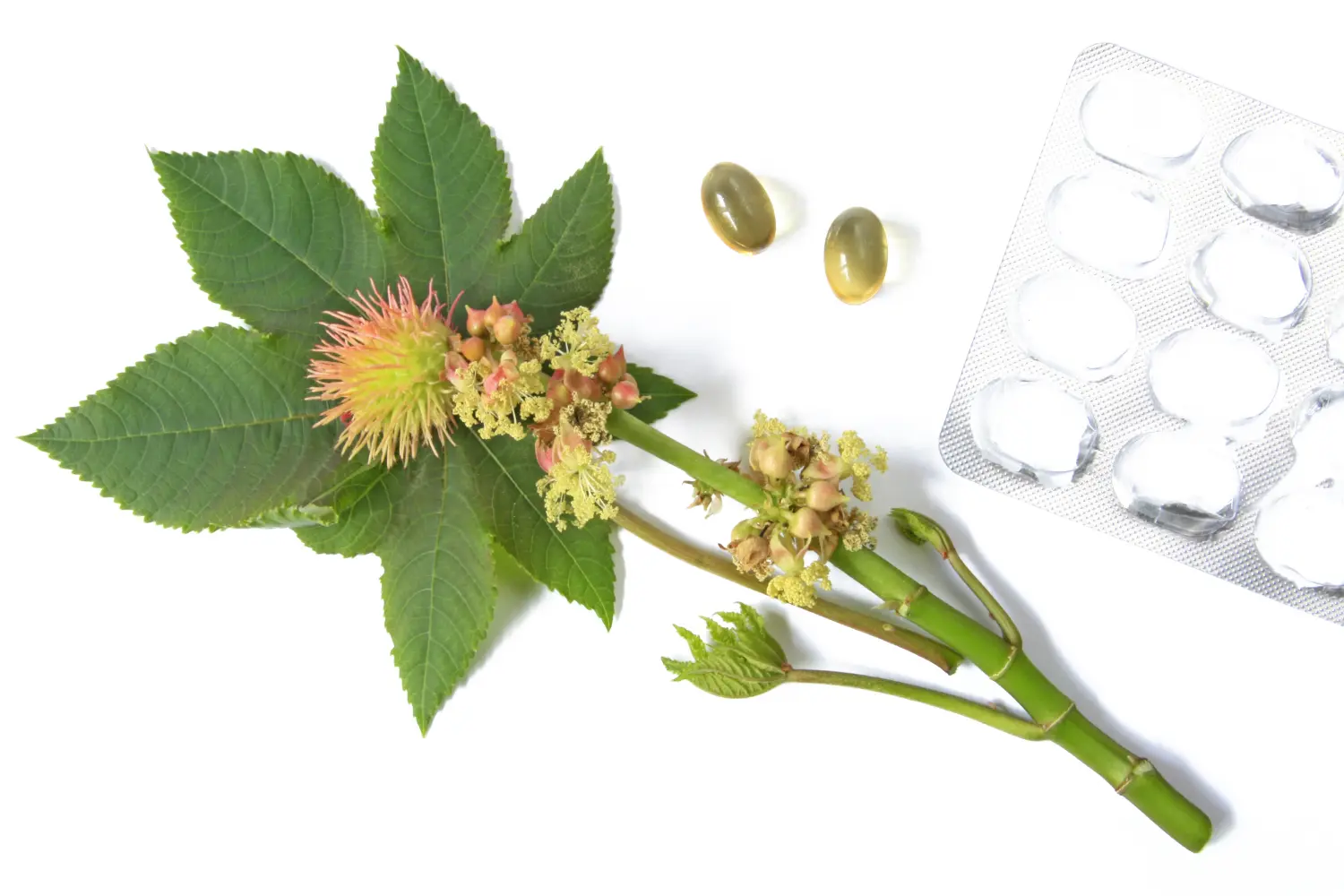 The Best Natural Remedies for Menopause Mood Swings