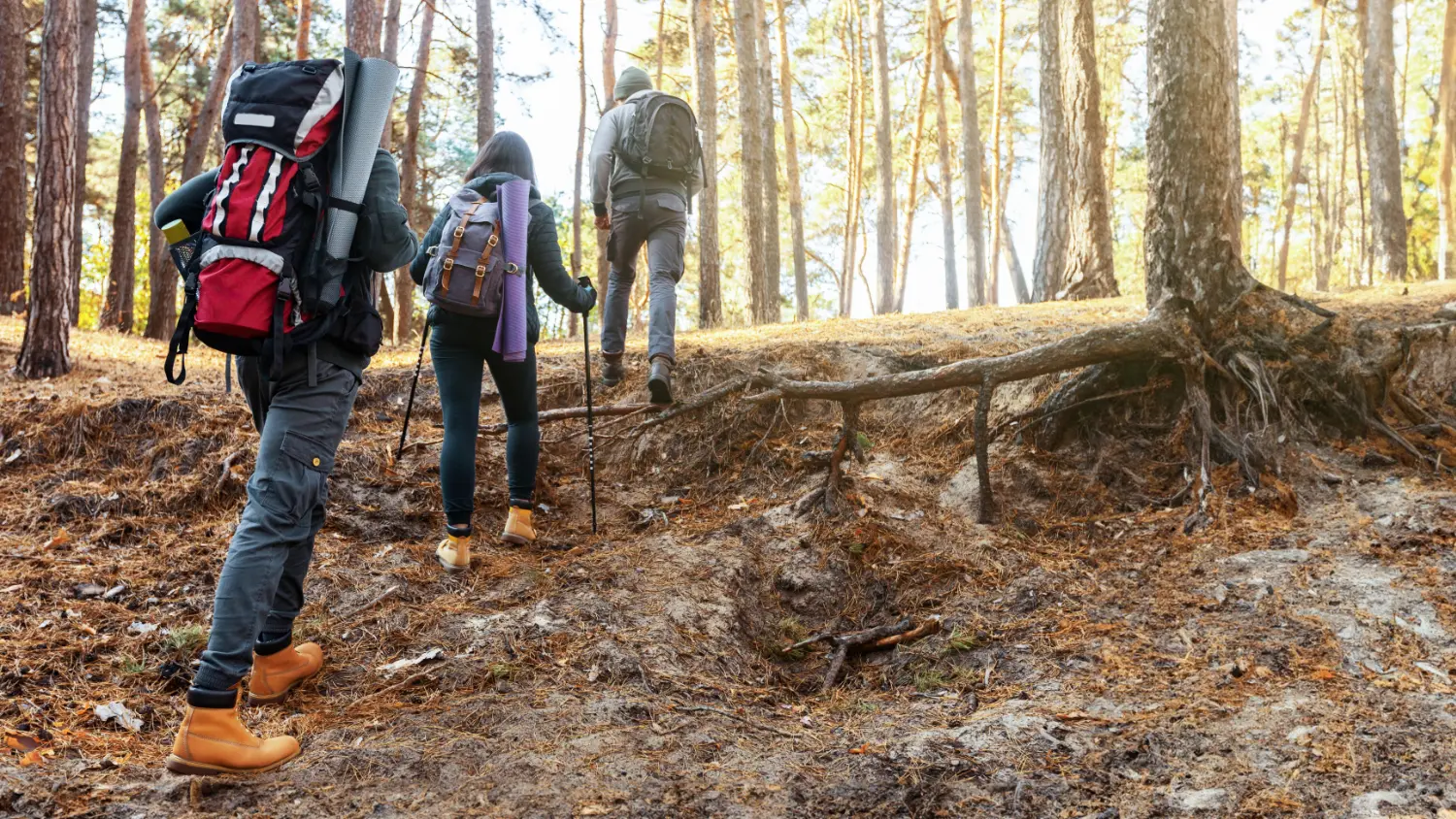 The Benefits of Hiking for Menopausal Women