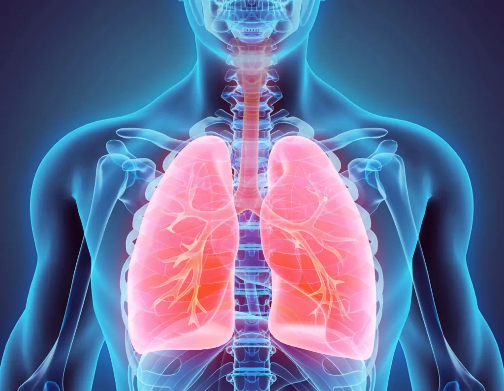 The Best Ways to Support Lung Health During Menopause